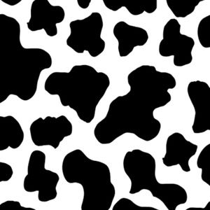 Meet your Posher, Maggie